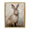 Stupell Industries Neutral Rabbit Portrait Floating Frame By Arlington Prints